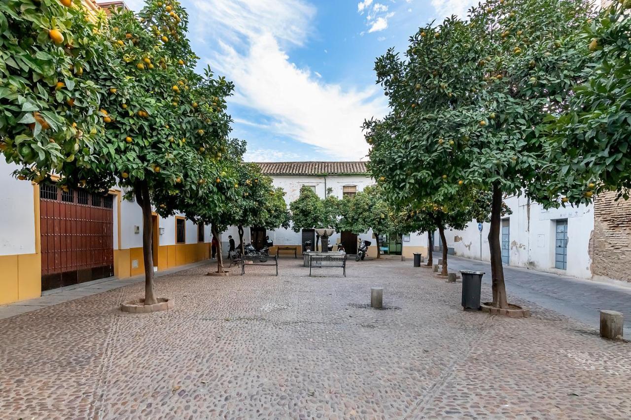 Ferienwohnung Bhost - Regina IV Córdoba Exterior foto